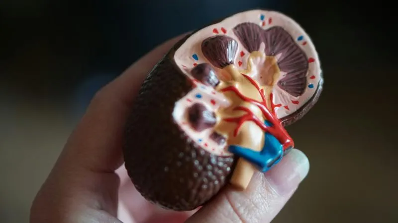 ТУР мочевого пузыря - трансуретральная резекция опухоли мочевого пузыря